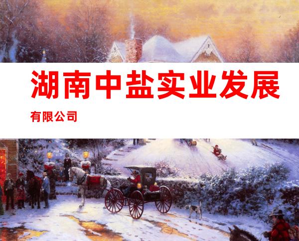 湖南中盐实业发展有限公司
